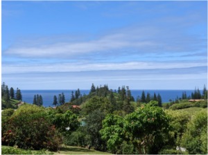Ocean view apartments