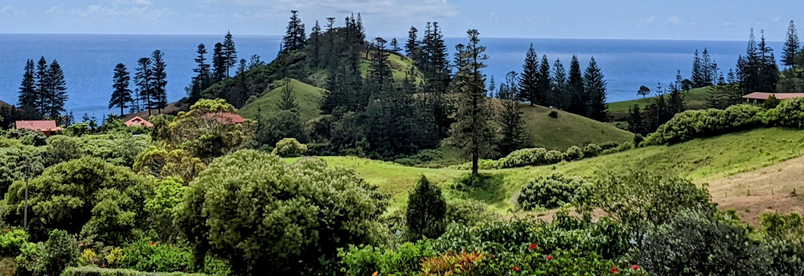 Norfolk Island Holiday